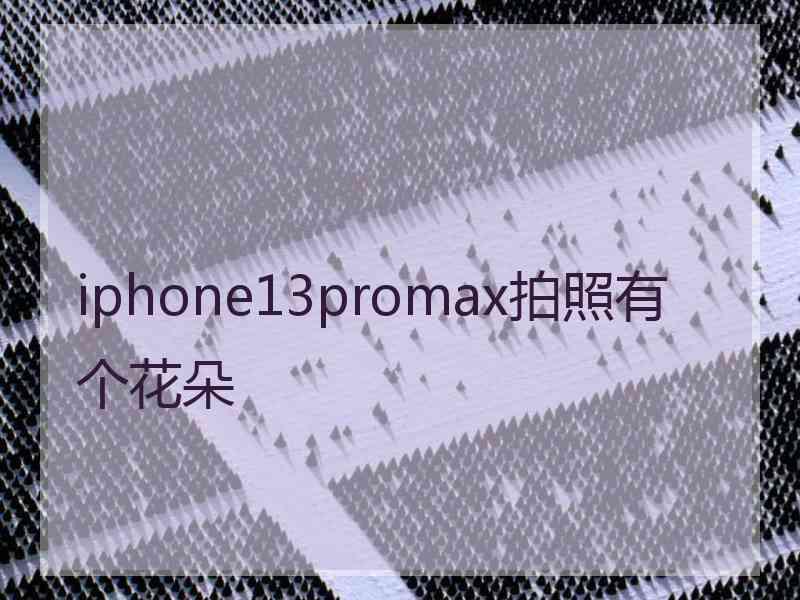 iphone13promax拍照有个花朵