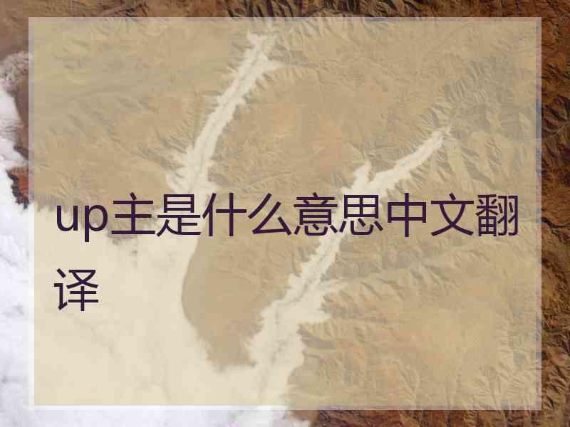 up主是什么意思中文翻译