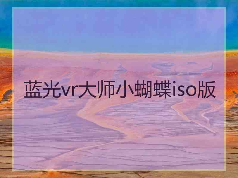 蓝光vr大师小蝴蝶iso版