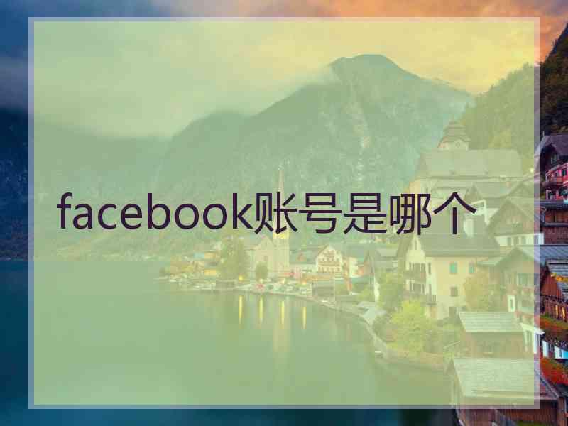 facebook账号是哪个