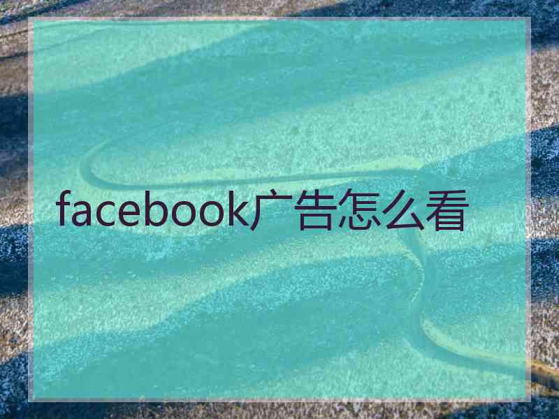 facebook广告怎么看