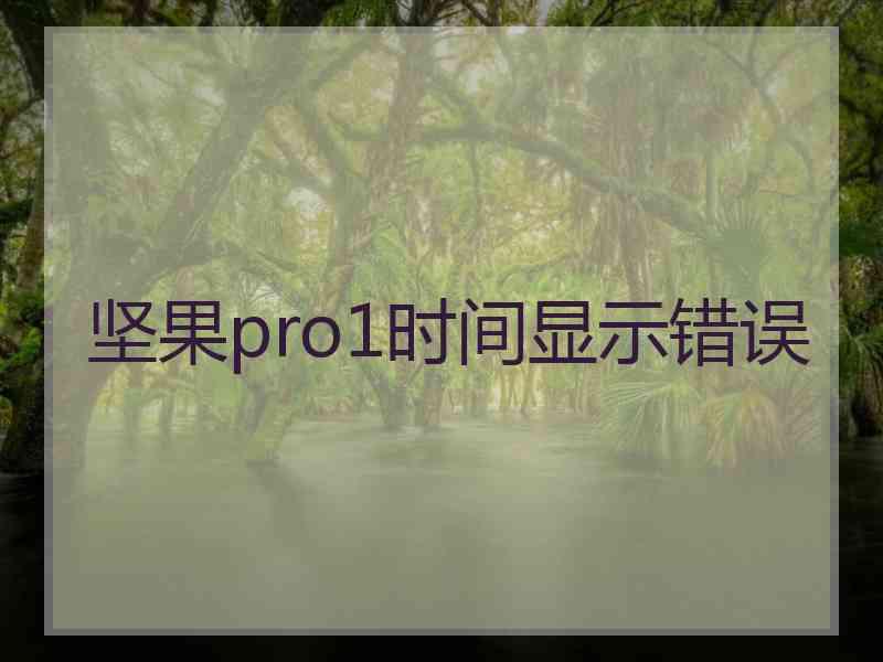 坚果pro1时间显示错误