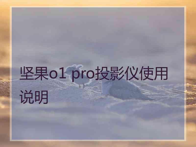 坚果o1 pro投影仪使用说明