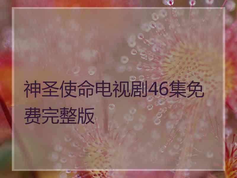 神圣使命电视剧46集免费完整版