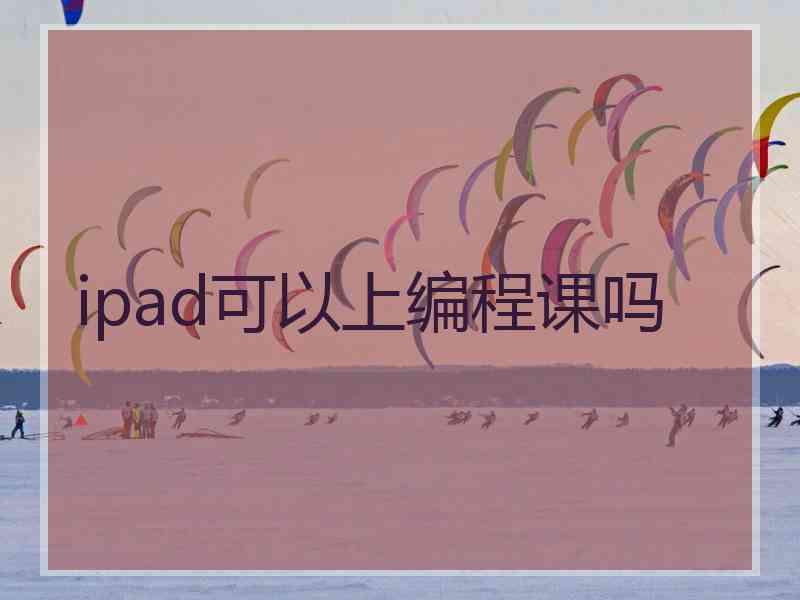 ipad可以上编程课吗