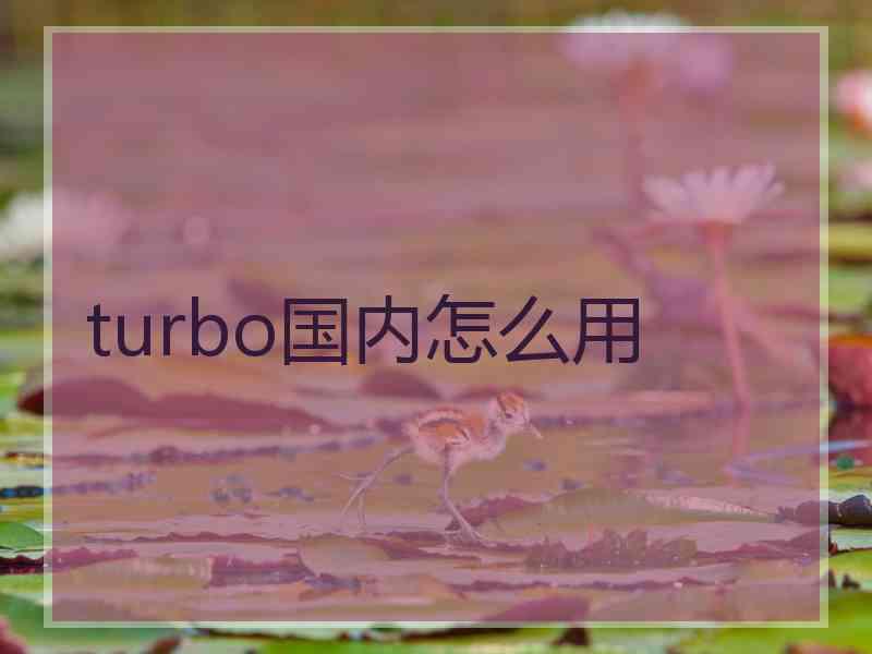 turbo国内怎么用