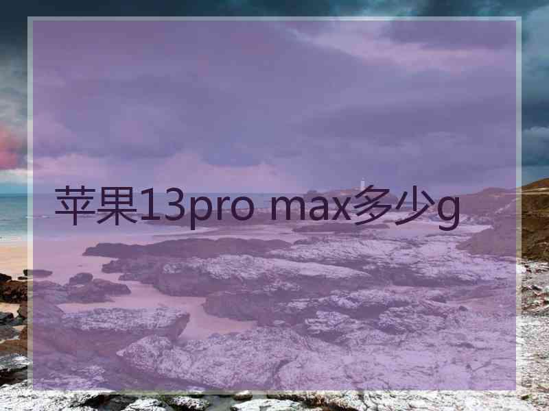 苹果13pro max多少g