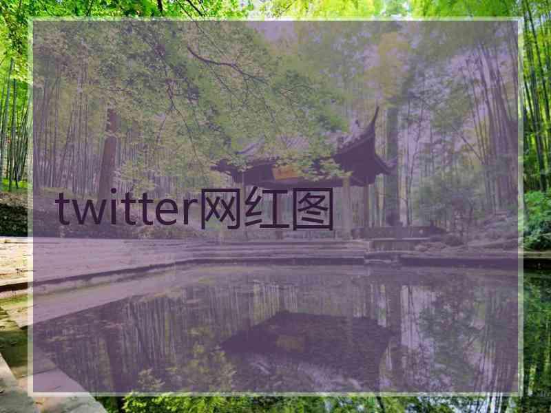 twitter网红图