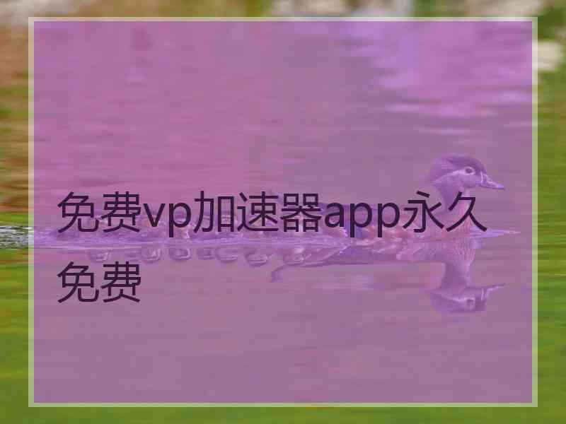 免费vp加速器app永久免费