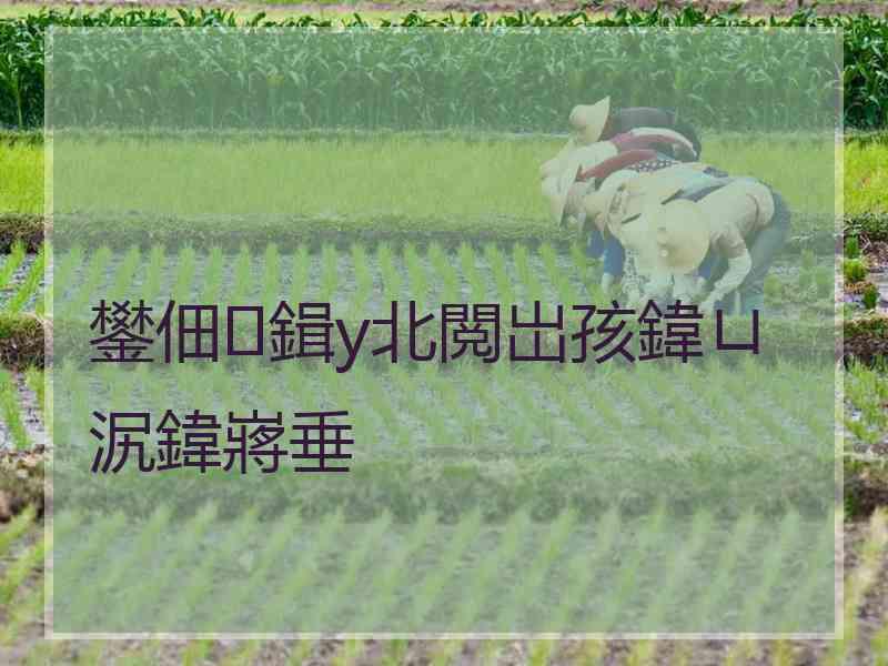 鐢佃鍓у北閲岀孩鍏ㄩ泦鍏嶈垂