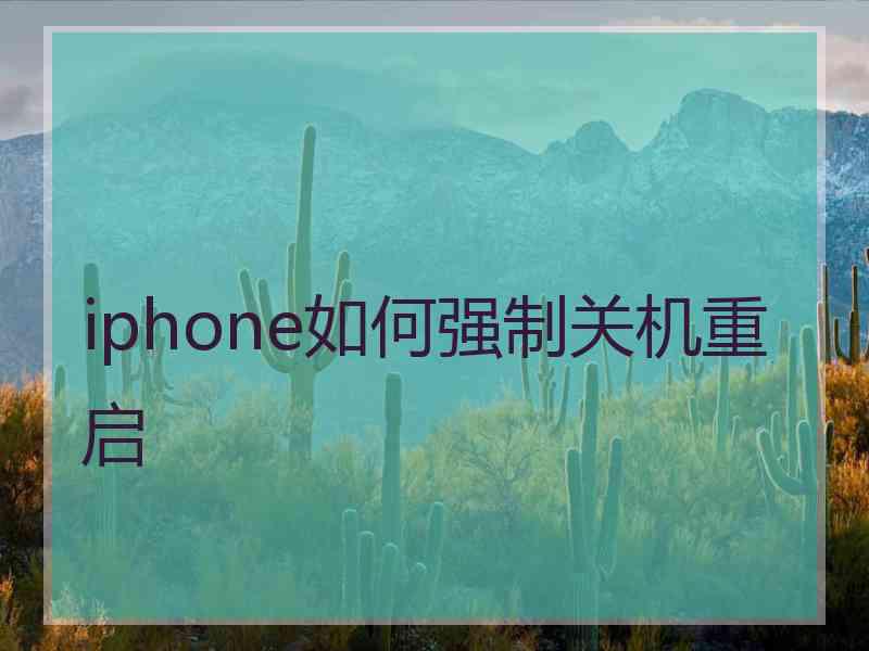 iphone如何强制关机重启