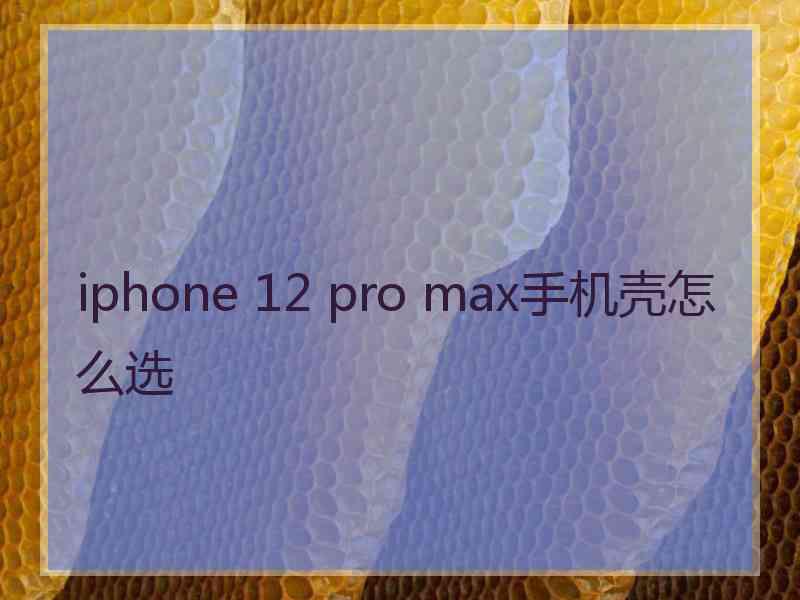 iphone 12 pro max手机壳怎么选