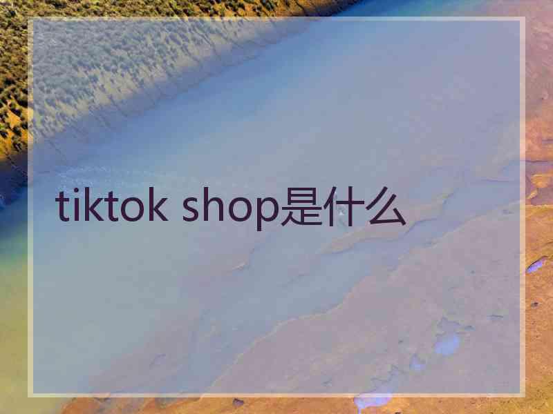 tiktok shop是什么