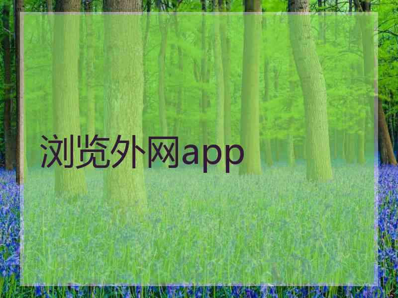 浏览外网app