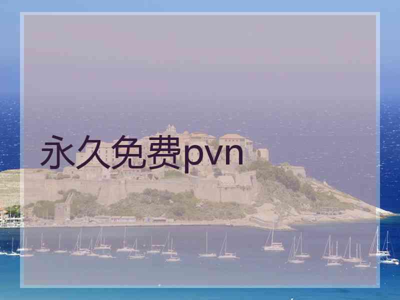 永久免费pvn