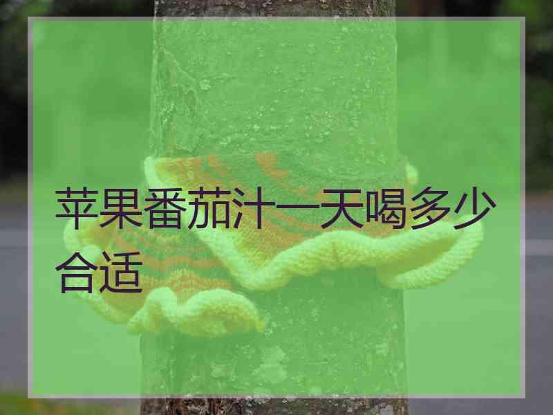 苹果番茄汁一天喝多少合适