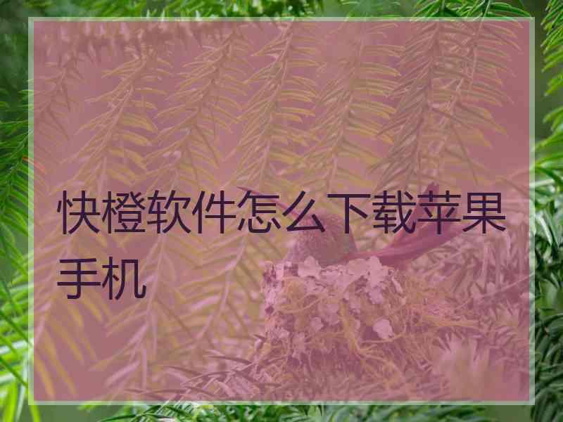 快橙软件怎么下载苹果手机