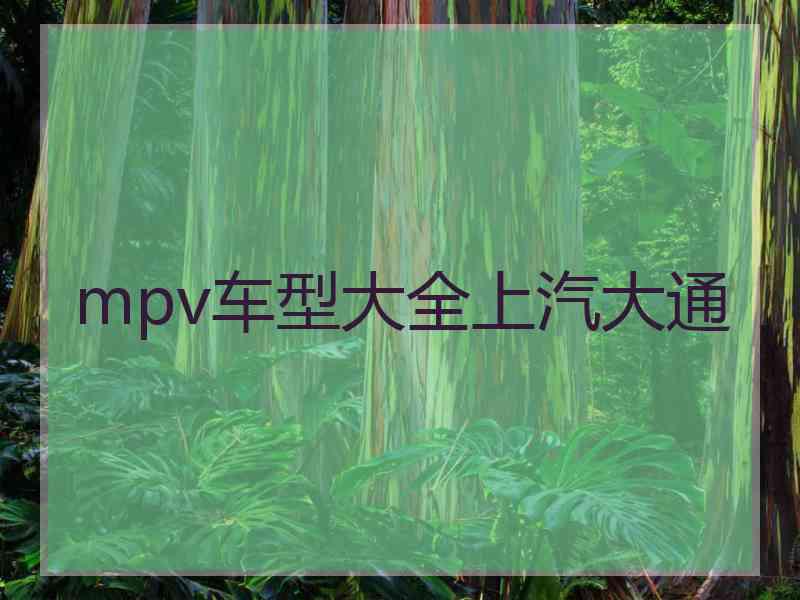 mpv车型大全上汽大通