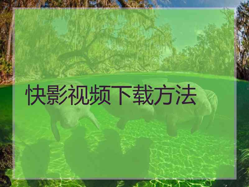 快影视频下载方法