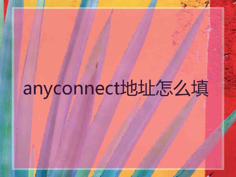 anyconnect地址怎么填