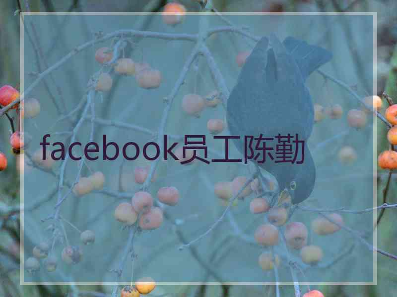 facebook员工陈勤