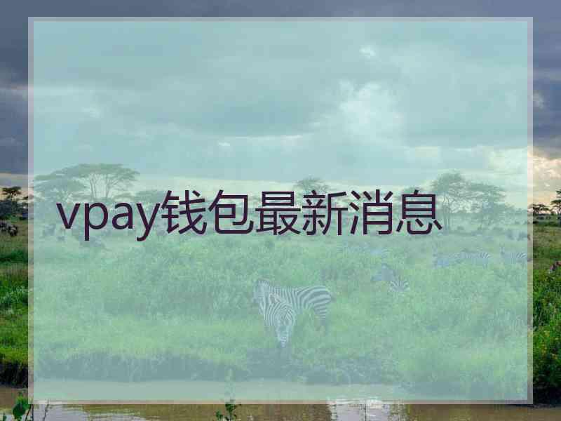 vpay钱包最新消息