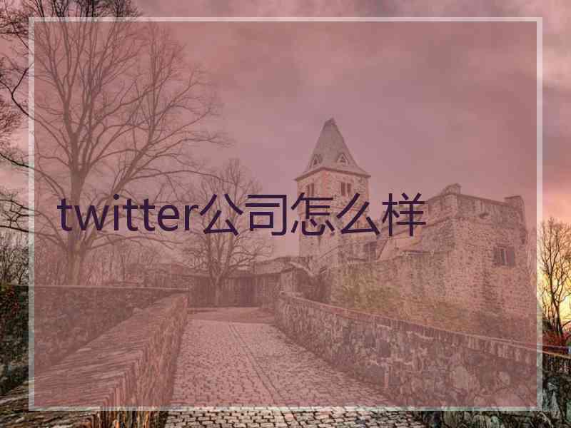 twitter公司怎么样