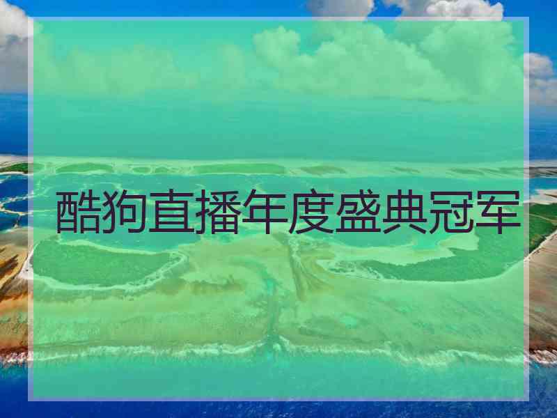 酷狗直播年度盛典冠军