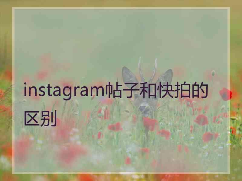 instagram帖子和快拍的区别