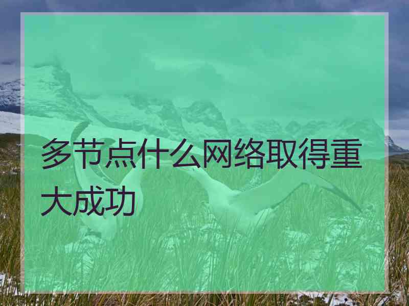 多节点什么网络取得重大成功