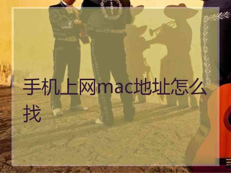 手机上网mac地址怎么找