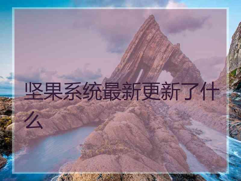 坚果系统最新更新了什么