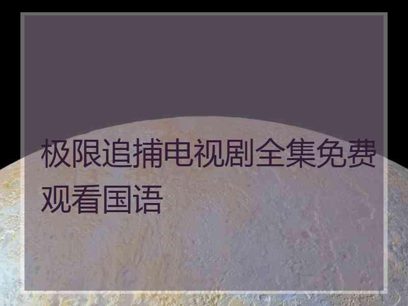 极限追捕电视剧全集免费观看国语