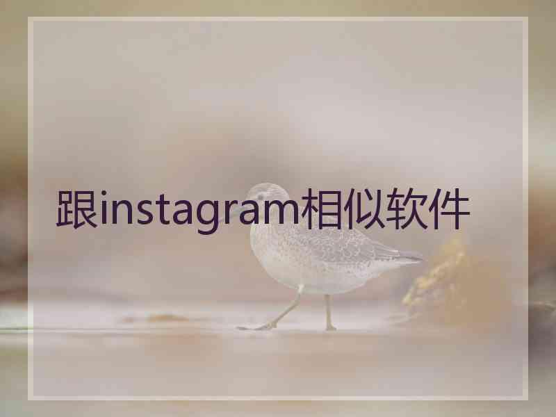 跟instagram相似软件