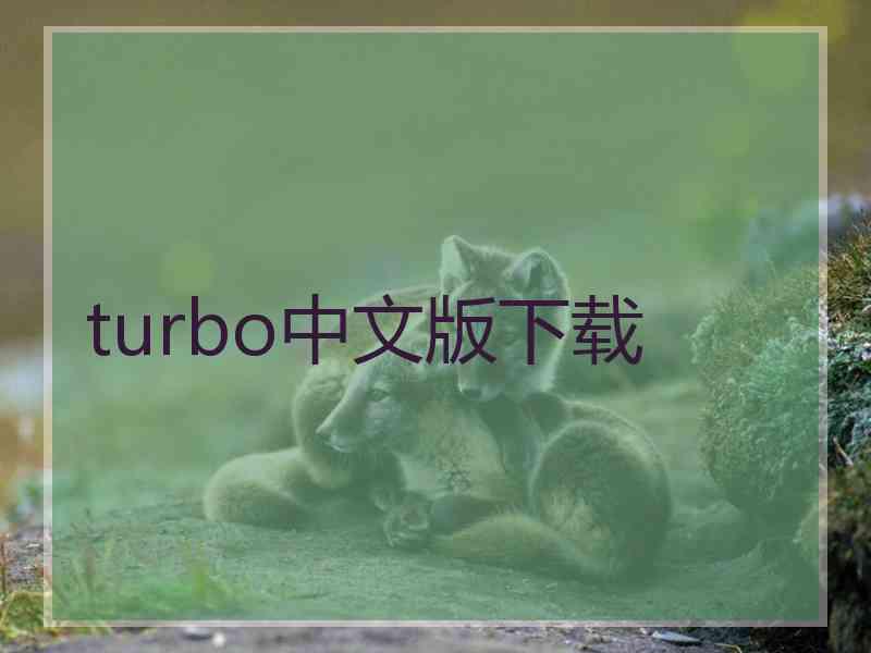 turbo中文版下载