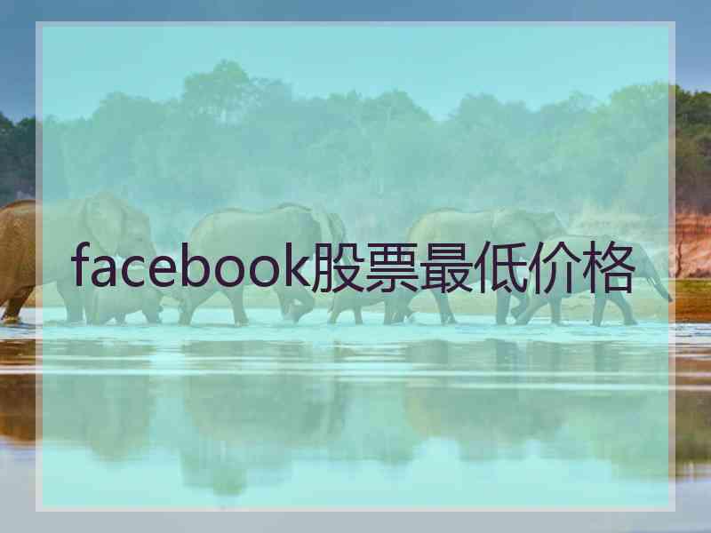 facebook股票最低价格