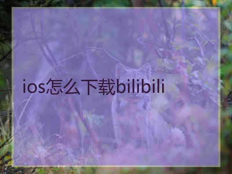 ios怎么下载bilibili