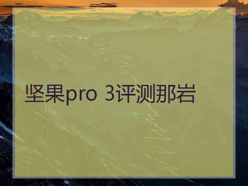 坚果pro 3评测那岩