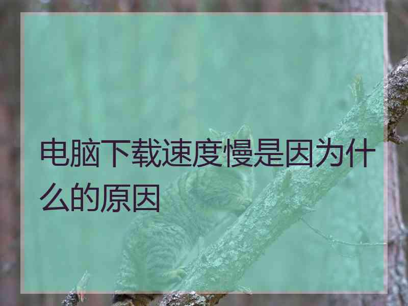 电脑下载速度慢是因为什么的原因