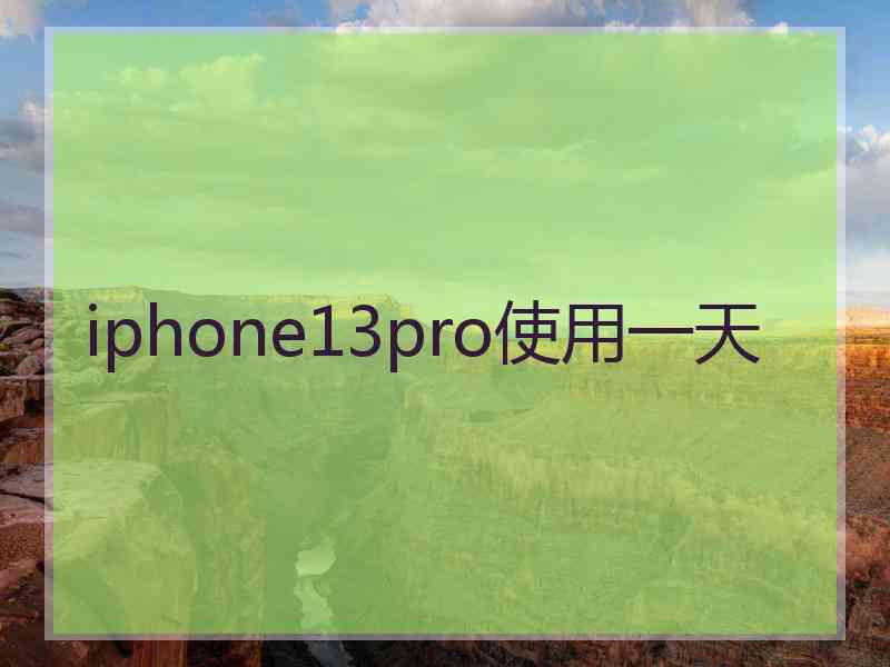 iphone13pro使用一天