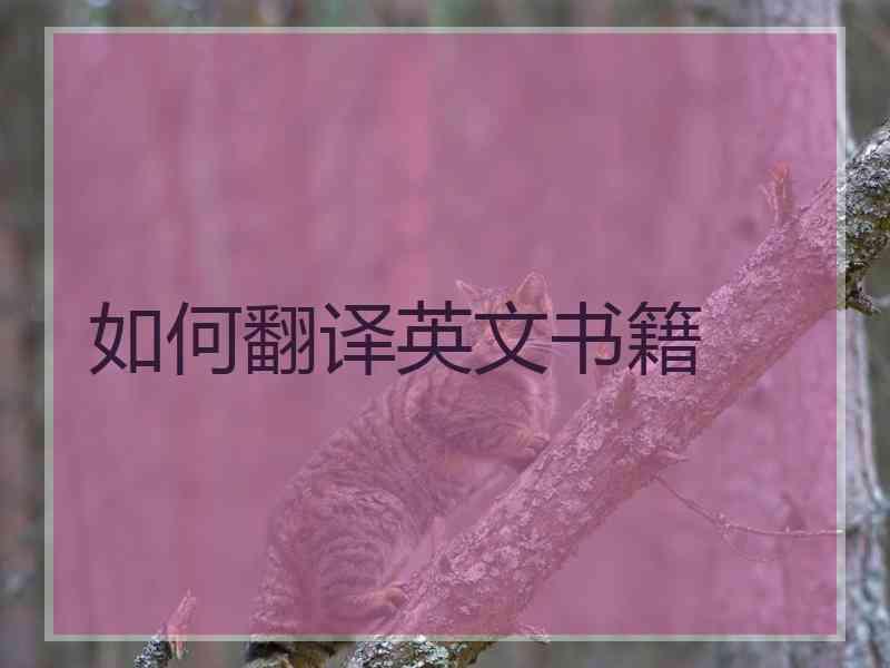 如何翻译英文书籍