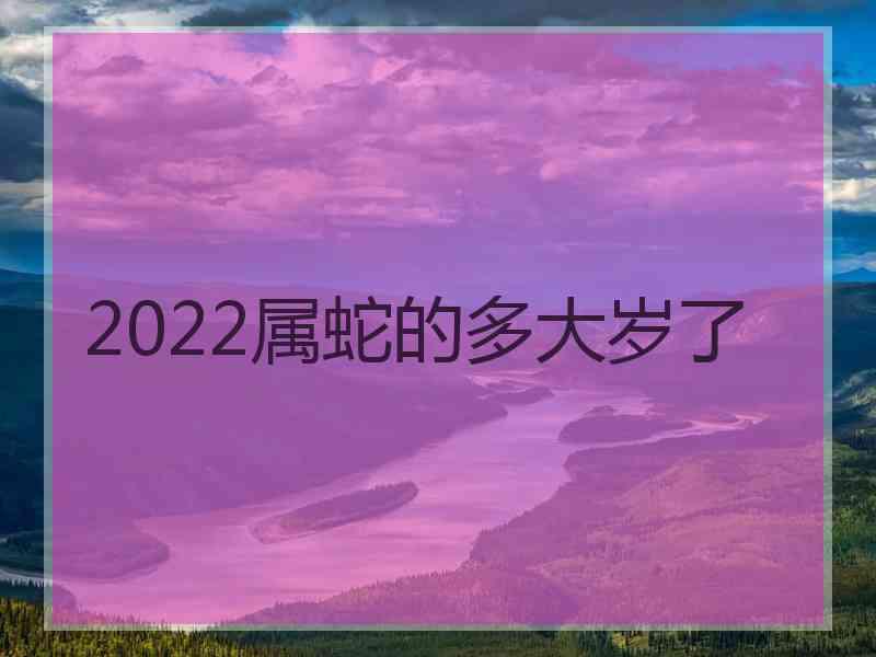 2022属蛇的多大岁了