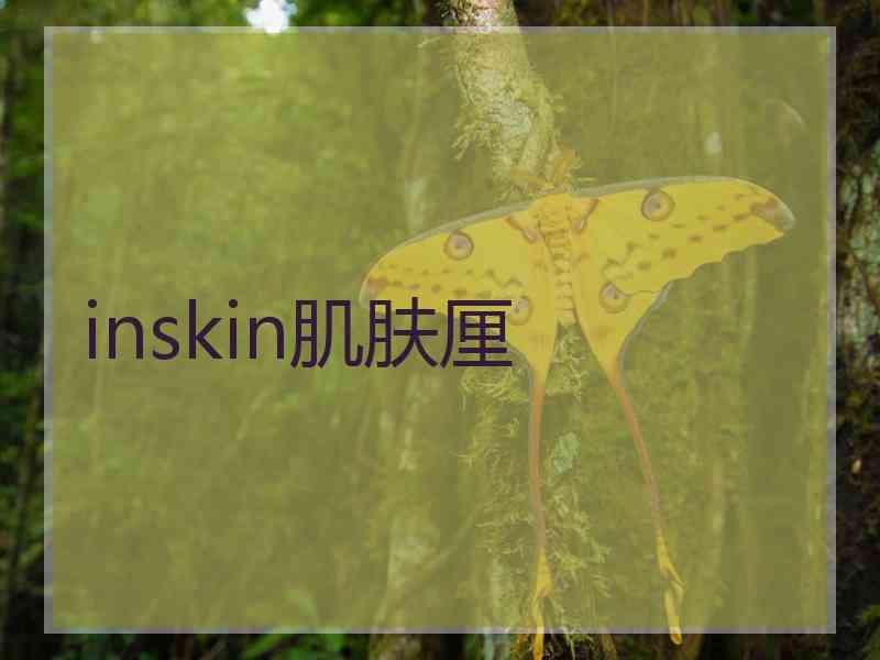 inskin肌肤厘