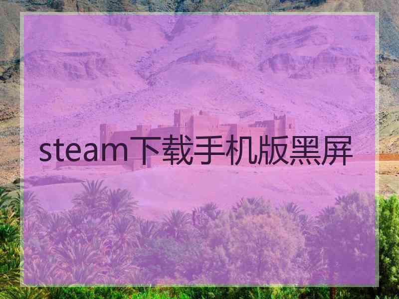 steam下载手机版黑屏