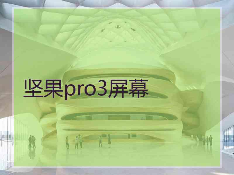 坚果pro3屏幕