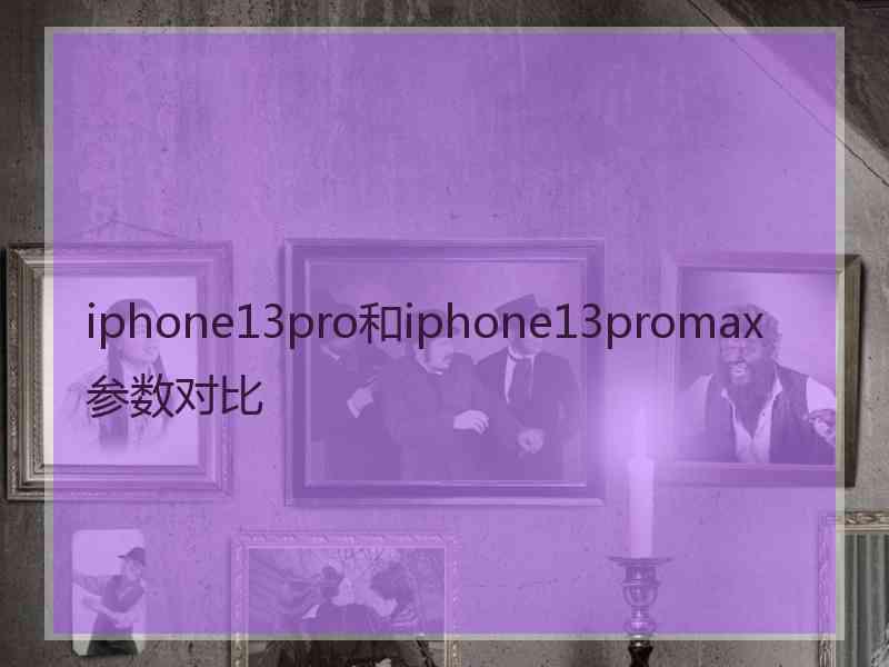 iphone13pro和iphone13promax参数对比