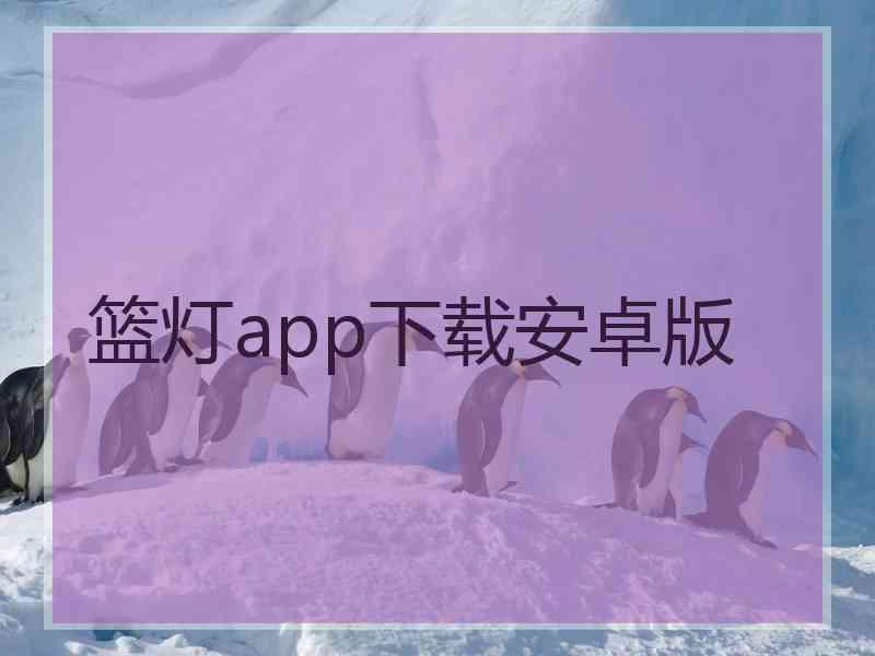 篮灯app下载安卓版