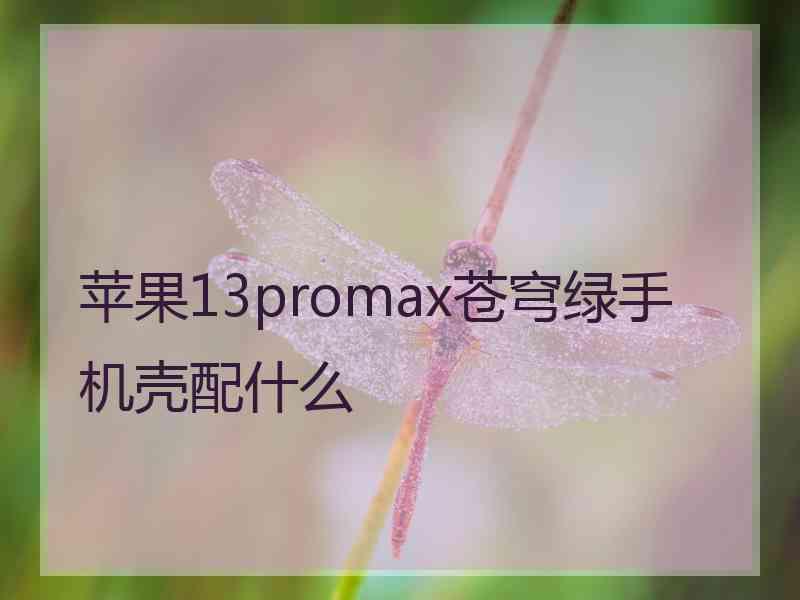 苹果13promax苍穹绿手机壳配什么