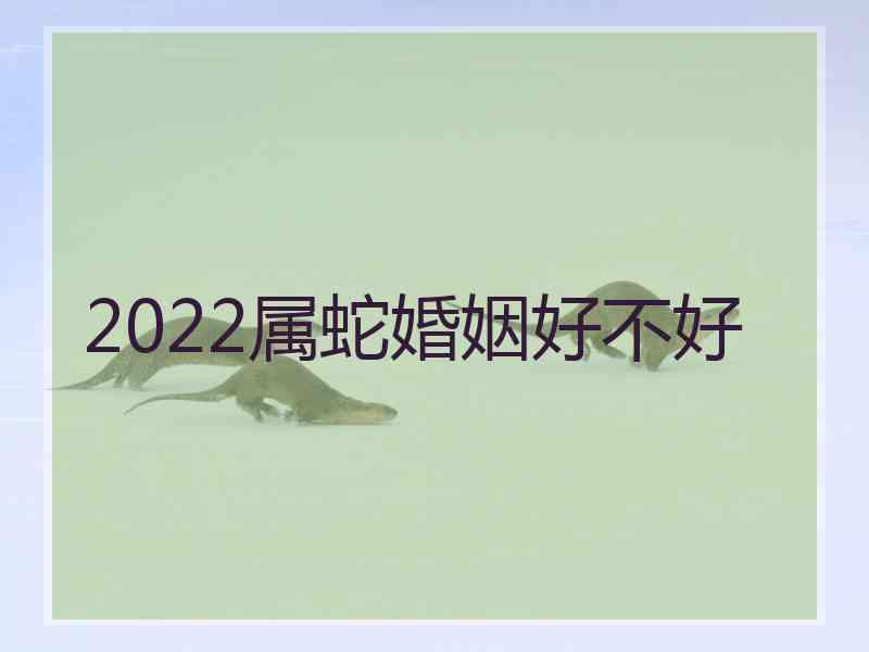 2022属蛇婚姻好不好