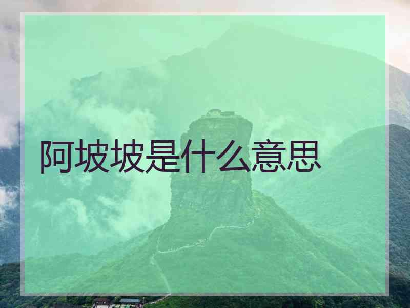 阿坡坡是什么意思